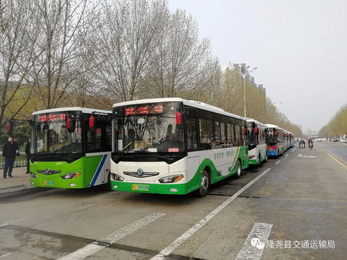 我縣道路旅客運輸基本恢復(fù)運行 道路旅客運輸站經(jīng)營穩(wěn)步推進(jìn)